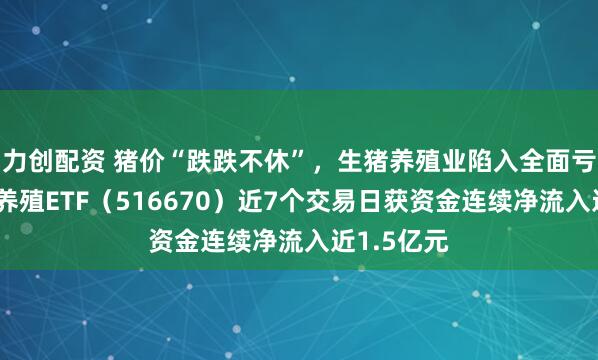 力创配资 猪价“跌跌不休”，生猪养殖业陷入全面亏损，畜牧养殖ETF（516670）近7个交易日获资金连续净流入近1.5亿元