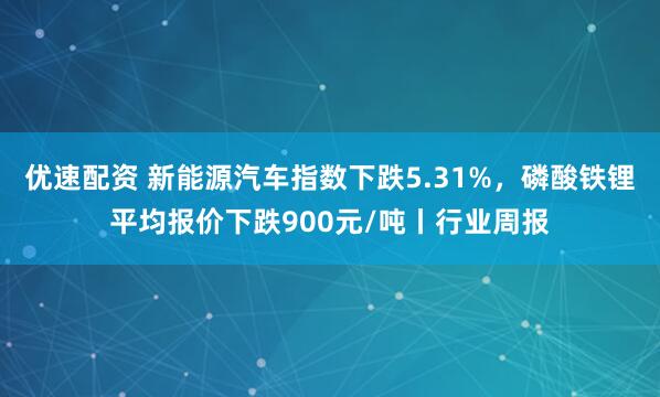 优速配资 新能源汽车指数下跌5.31%，磷酸铁锂平均报价下跌900元/吨丨行业周报