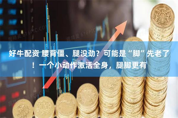 好牛配资 腰背僵、腿没劲？可能是“脚”先老了！一个小动作激活全身，腿脚更有